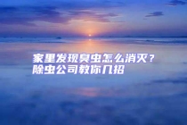 家里發(fā)現(xiàn)臭蟲怎么消滅？除蟲公司教你幾招