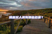 跳蚤對人類有那些危害？