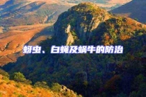 蚜蟲(chóng)、白蠅及蝸牛的防治