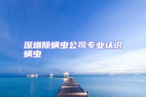 深圳除螨蟲公司專業(yè)認(rèn)識螨蟲