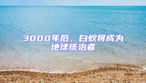 3000年后，白蟻將成為地球統(tǒng)治者