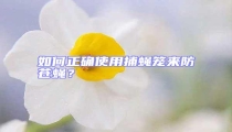 如何正確使用捕蠅籠來(lái)防蒼蠅？