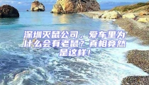 深圳滅鼠公司，愛車里為什么會有老鼠？真相竟然是這樣！