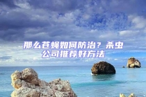 那么蒼蠅如何防治？殺蟲公司推薦好方法