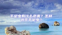 千足蟲有什么危害？怎樣消滅千足蟲？