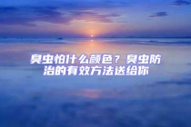 臭蟲怕什么顏色？臭蟲防治的有效方法送給你
