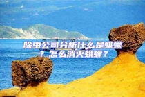 除蟲(chóng)公司分析什么是蛾蠓？怎么消滅蛾蠓？