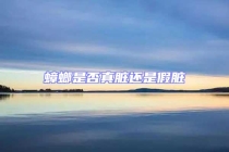 蟑螂是否真臟還是假臟