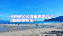 滅白蟻公司簡(jiǎn)析家裝后出現(xiàn)白蟻的原因
