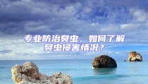 專業(yè)防治臭蟲，如何了解臭蟲侵害情況？