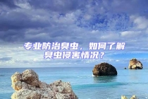 專業(yè)防治臭蟲，如何了解臭蟲侵害情況？