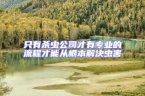 只有殺蟲(chóng)公司才有專業(yè)的流程才能從根本解決蟲(chóng)害