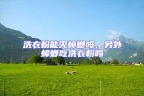 洗衣粉能滅蟑螂嗎，另外蟑螂吃洗衣粉嗎