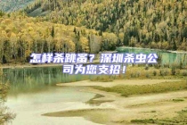 怎樣殺跳蚤？深圳殺蟲公司為您支招！