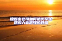 除四害公司如何消滅孳生適應力非常強的蒼蠅