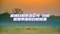 深圳白蟻防治公司 白蟻繁殖季謹(jǐn)防白蟻隱患