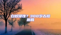 白蟻侵蝕？300歲古榕斷臂