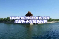 科學(xué)家發(fā)現(xiàn)蟑螂基因變異 逐漸失去對糖的興趣