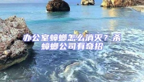 辦公室蟑螂怎么消滅？殺蟑螂公司有奇招