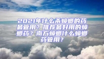 2021年什么殺蟑螂的藥最管用？推薦最好用的蟑螂藥？南方蟑螂什么蟑螂藥管用？