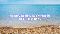 深圳滅蟑螂公司介紹蟑螂藏在什么地方