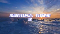 深圳白蟻防治：白蟻的用途