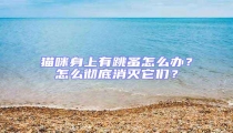 貓咪身上有跳蚤怎么辦？怎么徹底消滅它們？