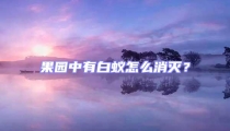 果園中有白蟻怎么消滅？