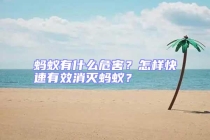 螞蟻有什么危害？怎樣快速有效消滅螞蟻？