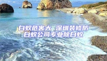 白蟻危害大 深圳裝修防白蟻公司專業(yè)除白蟻