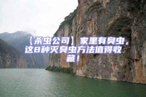 【殺蟲公司】家里有臭蟲，這8種滅臭蟲方法值得收藏！