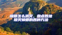 蟑螂怎么消滅，盤點(diǎn)各地除滅蟑螂的各種方法