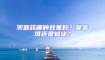 滅鼠藥哪種效果好？是毒餌還是蠟塊？