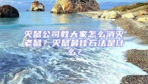 滅鼠公司教大家怎么消滅老鼠？滅鼠最佳方法是什么？