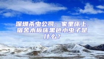 深圳殺蟲公司：家里床上.宿舍木板床黑色小蟲子是什么？