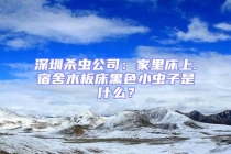 深圳殺蟲(chóng)公司：家里床上.宿舍木板床黑色小蟲(chóng)子是什么？