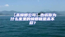 【殺蟑螂公司】告訴你為什么家里的蟑螂就是殺不盡？