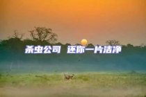 殺蟲公司 還你一片潔凈