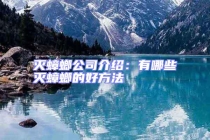 滅蟑螂公司介紹：有哪些滅蟑螂的好方法