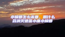 小蟑螂怎么殺要，用什么藥消滅德國(guó)小廉小蟑螂