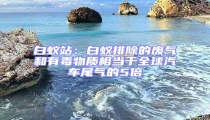 白蟻站：白蟻排除的廢氣和有毒物質(zhì)相當于全球汽車尾氣的5倍