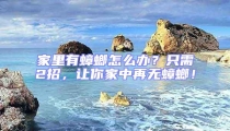 家里有蟑螂怎么辦？只需2招，讓你家中再無蟑螂！