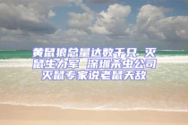 黃鼠狼總量達(dá)數(shù)千只 滅鼠生力軍 深圳殺蟲公司滅鼠專家說老鼠天敵