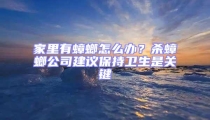 家里有蟑螂怎么辦？殺蟑螂公司建議保持衛(wèi)生是關鍵